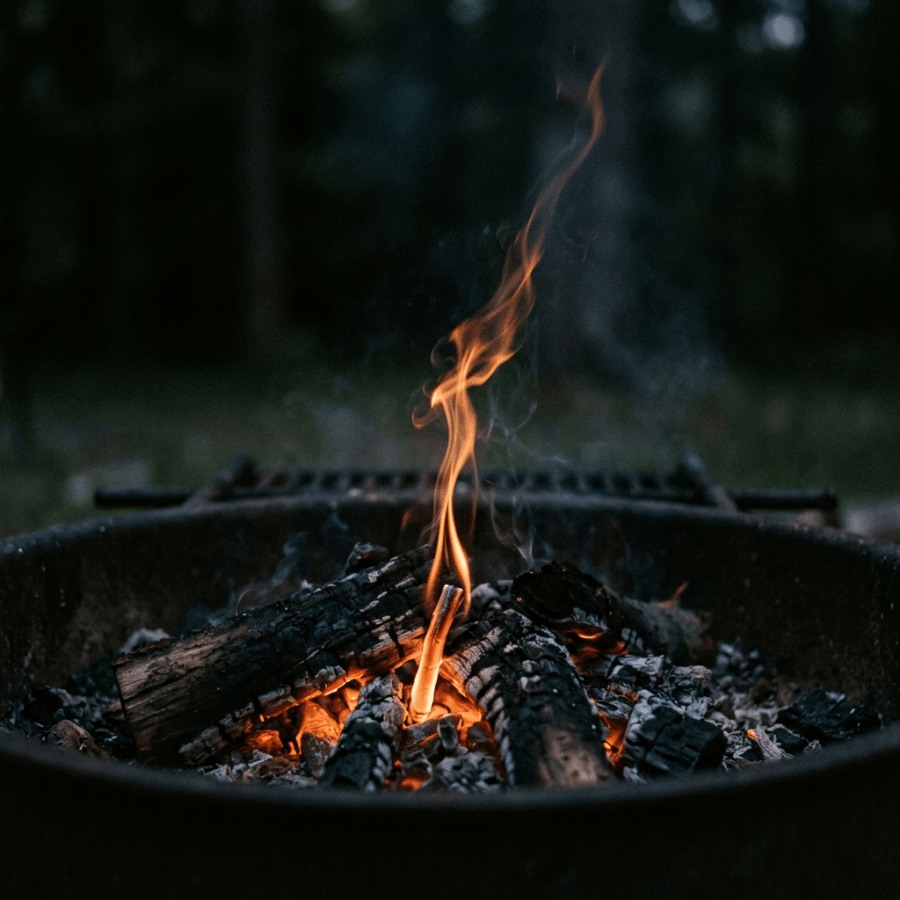 Campfire with burning logs and glowing embers in a fire pit